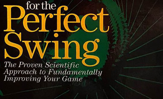 Search for the Perfect Swing